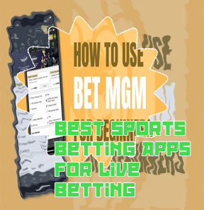 Best betting app for beginners