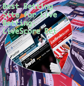 Top online betting websites