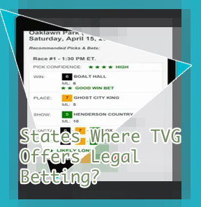 Tvg horse betting app